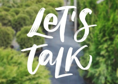 Let's Talk