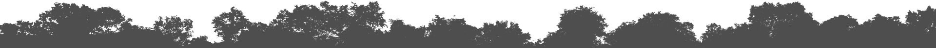 Treeline Silhouette